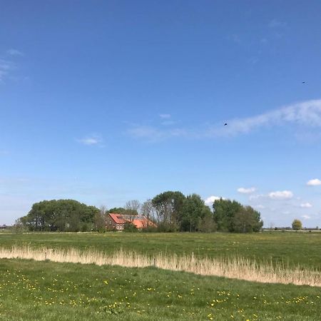 Ferienhof Spiegelhaus Krummhörn Esterno foto