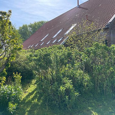 Ferienhof Spiegelhaus Krummhörn Esterno foto