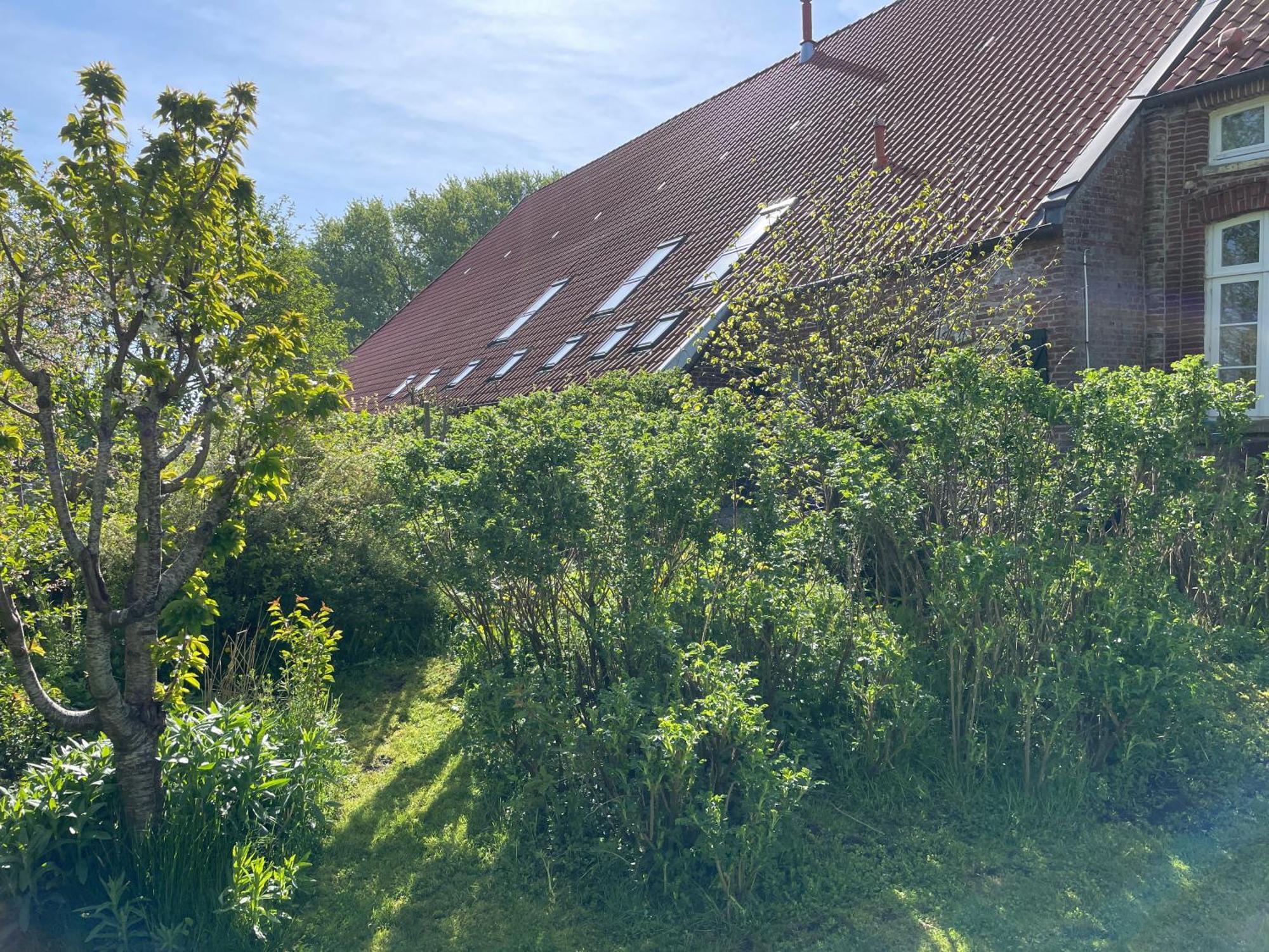Ferienhof Spiegelhaus Krummhörn Esterno foto