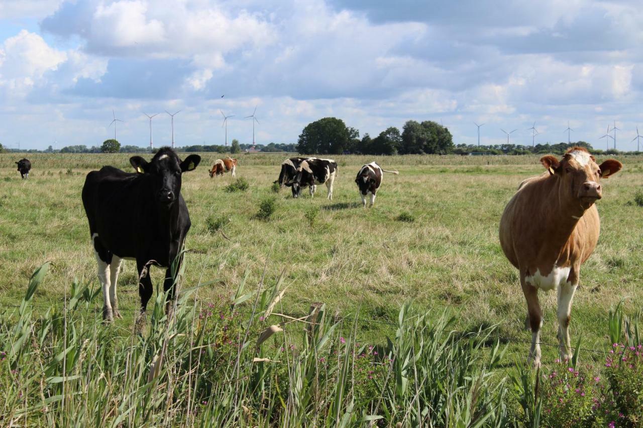 Ferienhof Spiegelhaus Krummhörn Esterno foto